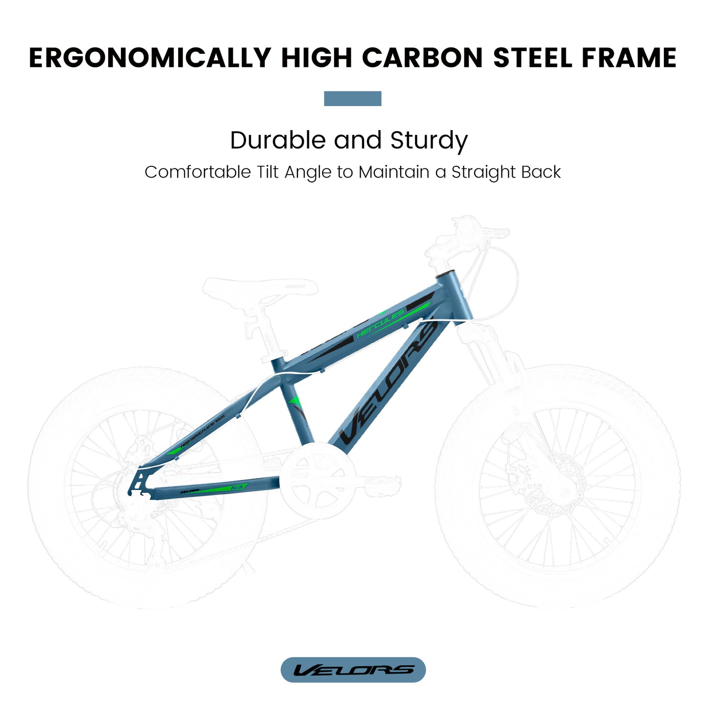 V20235 20 Inch Fat Tire Bike 7 Speed Mountain Bike, Dual Disc Brakes, High Carbon Steel Frame, Front Suspension, Mountain Buggy, City Commuter City Bike, Fat Tire Bike