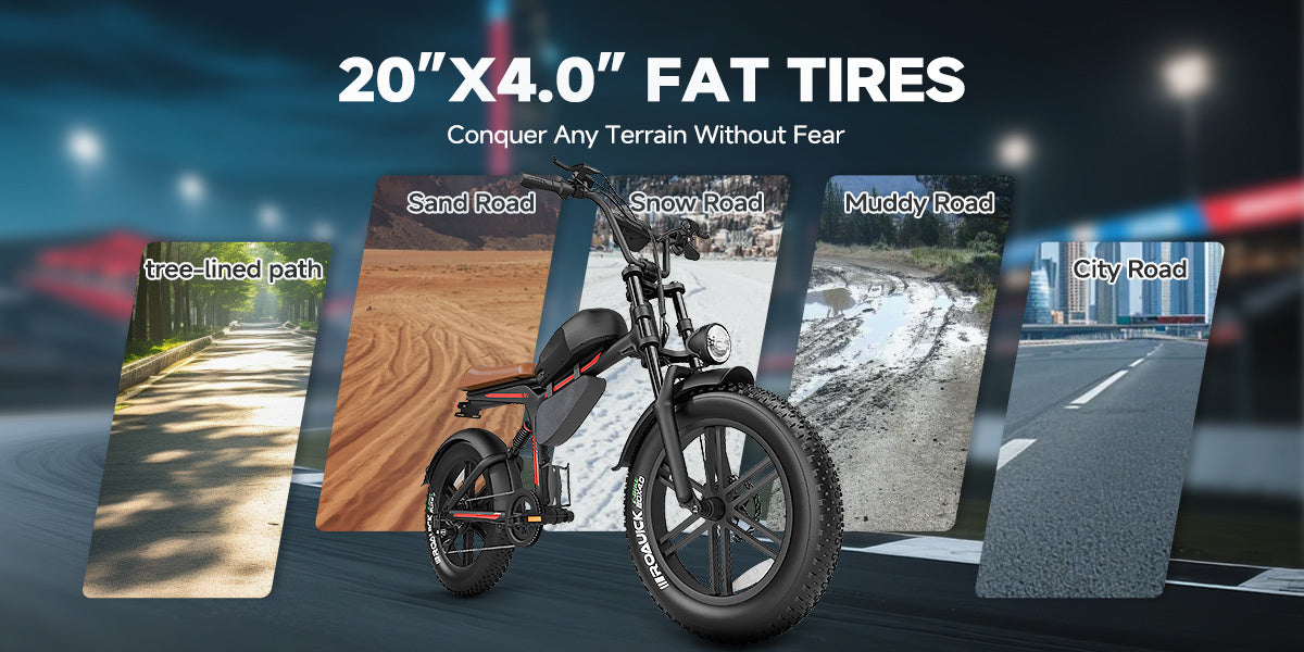 500W 20inch Fat Tire Electric Bike With 45kmh Top Speed & 45km Range